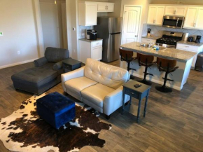 3b 2b Spacious new house in Austin